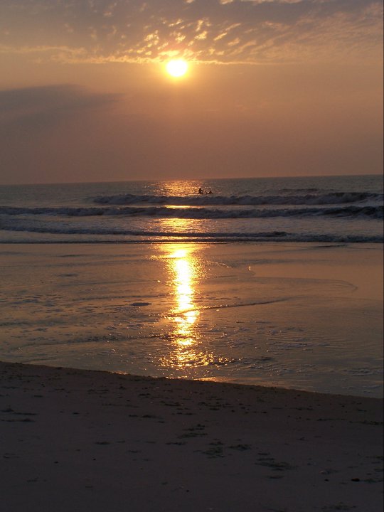 Assateague+Island+National+Seashore%2C+Maryland