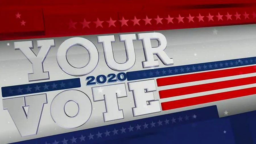 A Race to Power: The 2020 Presidential Election