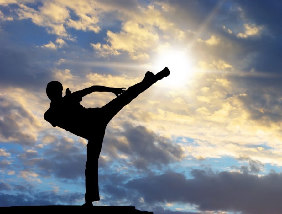 Try Martial Arts to Benefit your Physical and Mental Health in 2021