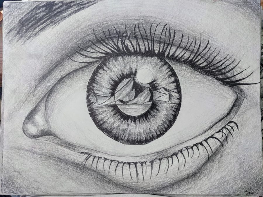 eye reflection art