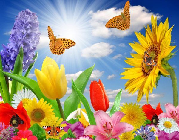 https://wallpapercave.com/spring-flower-desktop-background