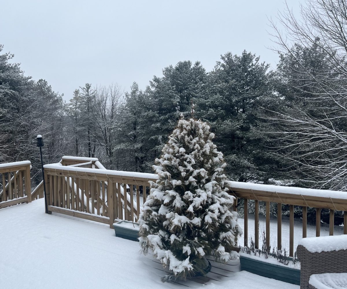 BCPS tried their first virtual snow day on February 12. 