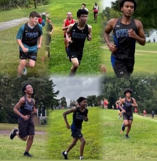 Individual Fall Sports to Prepare You for Decades of Play